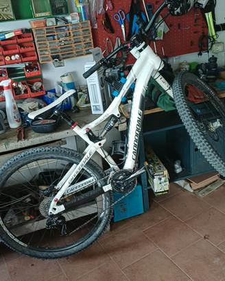 mountain bike cannondale lefty