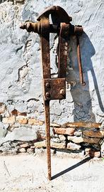 La morsa che non ha mai mollato il ferro