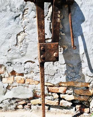 La morsa che non ha mai mollato il ferro