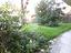 Immagine 16