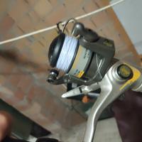 canna tremarella Daiwa 