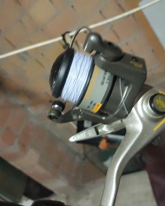 canna tremarella Daiwa 