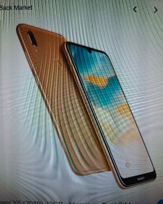 Huawei Y6 (2019)