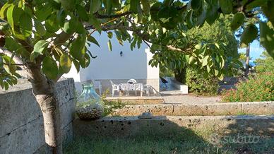 Last Minute Salento - Torre Vado - max 6 posti