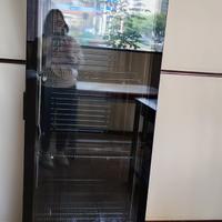 Vetrina espositoria frogorifera