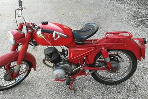 Ducati Altro modello - 1957