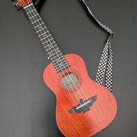 Ukulele Aklot concerto