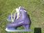 Immagine 2