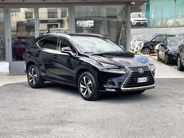Lexus NX 300 2.5 Hybrid 155CV E6 - 2020