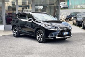 Lexus NX 300 2.5 Hybrid 155CV E6 - 2020