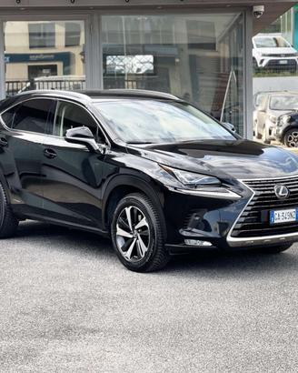 Lexus NX 300 2.5 Hybrid 155CV E6 - 2020
