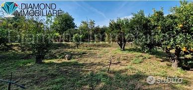 TERRENO AGRICOLO 3.500 mq A GIARRE