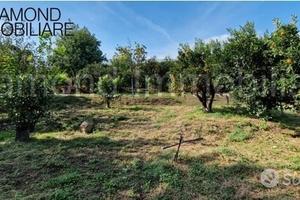 TERRENO AGRICOLO 3.500 mq A GIARRE
