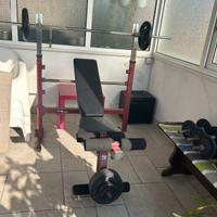 panca multiuso, bilanciere e pesi