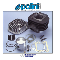 Gruppo termico Polini sport 70 minarelli verticale