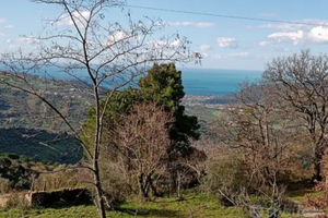 Terreno agricolo con rudere da accatastare