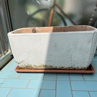 Fioriere cemento bianco