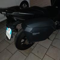 valige shad h23 con attacchi 3p