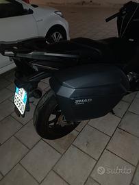 valige shad h23 con attacchi 3p