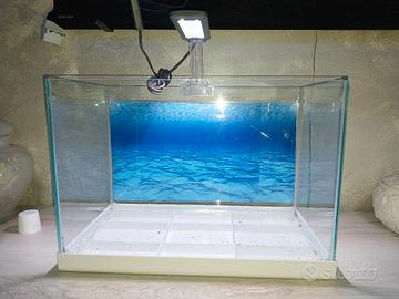Acquario 30 litri