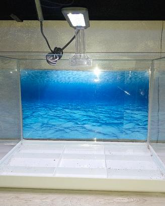 Acquario 30 litri