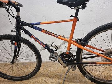 Bianchi ragno PHOLCUS tg 46