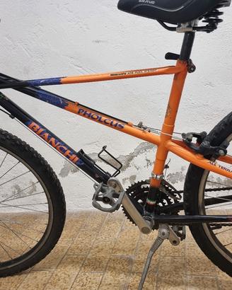 Bianchi ragno PHOLCUS tg 46