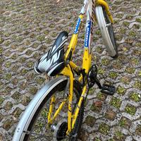 MTB per ragazzino 9/12 anni misura ruota 24"