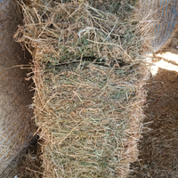 Fieno erba medica