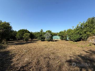 TER. RESIDENZIALE A SANT'EGIDIO DEL MONTE ALBINO
