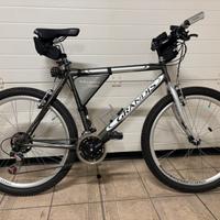 Mtb / touring taglia L