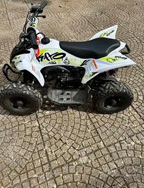 Kayo Altro modello - 2024