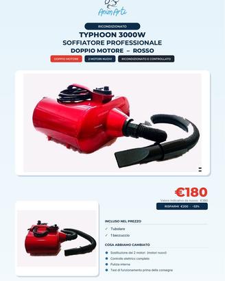 Soffiatore per cani TYPHOON 3000W ricondizionato