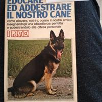 Educare ed addestrare il cane