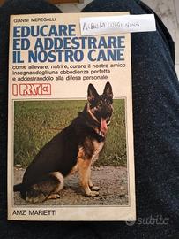 Educare ed addestrare il cane
