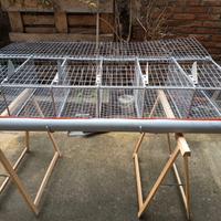 Gabbia x ingrasso conigli