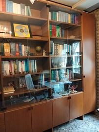 LIBRERIA con sportelli in cristallo