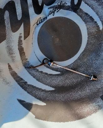 Ruote per bici fixed ossia scatto fisso