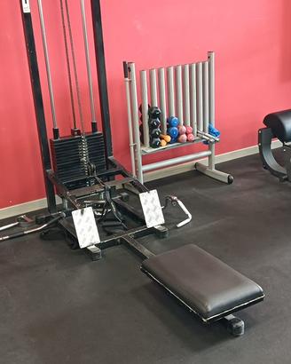 Pulley palestra
