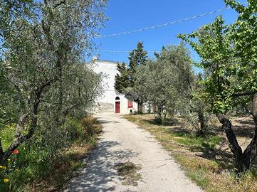 TER. AGRICOLO A CERIGNOLA