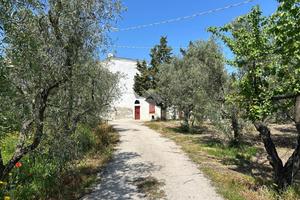 TER. AGRICOLO A CERIGNOLA