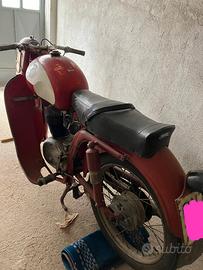 MV Agusta Altro modello