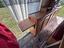 Immagine 13