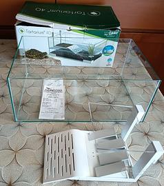 acquario tartarughe