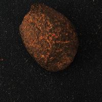 Meteorite NWA individuo, Marocco