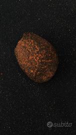 Meteorite NWA individuo, Marocco