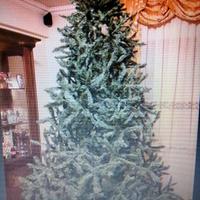 Albero di Natale 270 cm