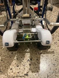 Montascale a cingoli