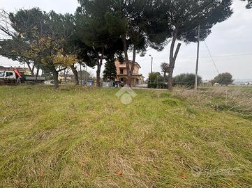 TER. AGRICOLO A RIMINI