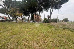 TER. AGRICOLO A RIMINI